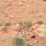 Photo taken by Logan J