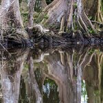 Photo taken by Linda W