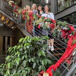 Photo taken by Tracie D