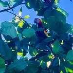 Photo taken by mariam a