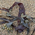 Photo taken by Deann M