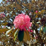 Photo taken by Willow K