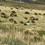 Photo taken by Vicki Lynn M