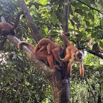 Photo taken by Kara H