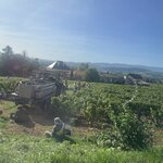 Photo taken by Melody B