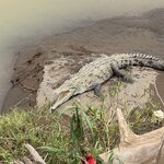 Photo taken by Chris H