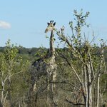 Photo taken by Linette B