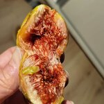 Photo taken by Vicki V