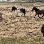 Photo taken by Tom B