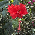 Photo taken by Dixie W