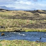 Photo taken by Tom B