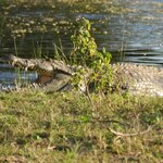 Photo taken by Linette B