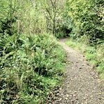 Photo taken by David L