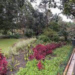 Photo taken by Tom B