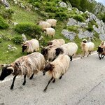 Photo taken by Eileen S