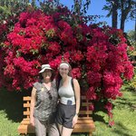 Photo taken by Julie S