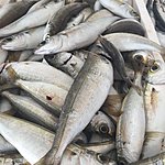 Photo taken by Allyson A