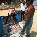 Fishermen | Photo taken by Sylvanna C