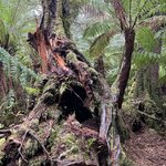 Photo taken by Rosemary S