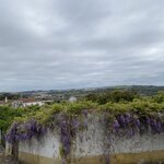 Photo taken by Pam N