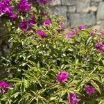 Photo taken by Teresa R