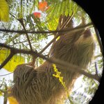 Photo taken by Jeanette J