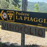 Photo taken by Kristin C