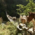 Photo taken by Tyler W