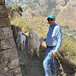 Photo taken by ayaz c
