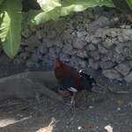 Photo taken by marisa s