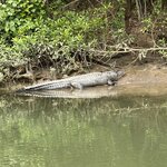 Photo taken by Amy W