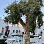 Photo taken by Carole D