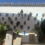 Photo taken by Ellyn A