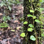 Photo taken by Breann B