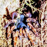 Photo taken by Mordechay T