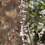 Photo taken by Bert B