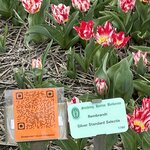 Photo taken by Jennifer D