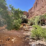 Photo taken by Hillel S