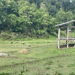 Photo taken by Joyce C