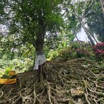 Photo taken by Valerie K