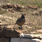 Photo taken by Shawn G