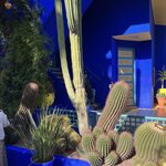 Photo taken by Jackie O