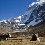 Photo taken by Tyler W