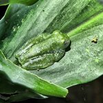 Photo taken by Ceinwen P