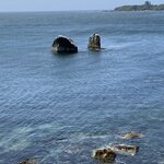 Photo taken by Mike C