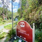 Photo taken by marisa s