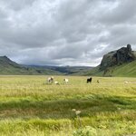 Photo taken by Joanne O