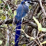 Photo taken by Ben B