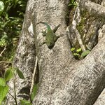 Photo taken by Lauren A