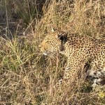 Photo taken by Joanne B